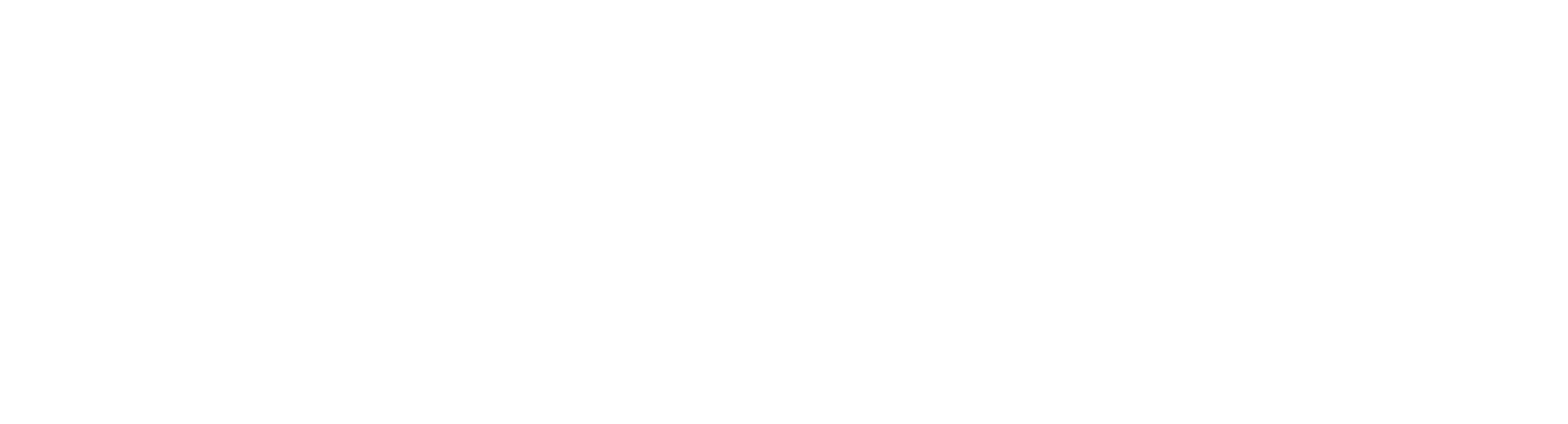 footer_logo